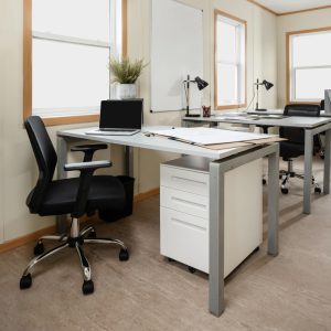 Professional workstation